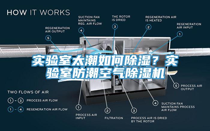 實驗室太潮如何除濕？實驗室防潮空氣除濕機