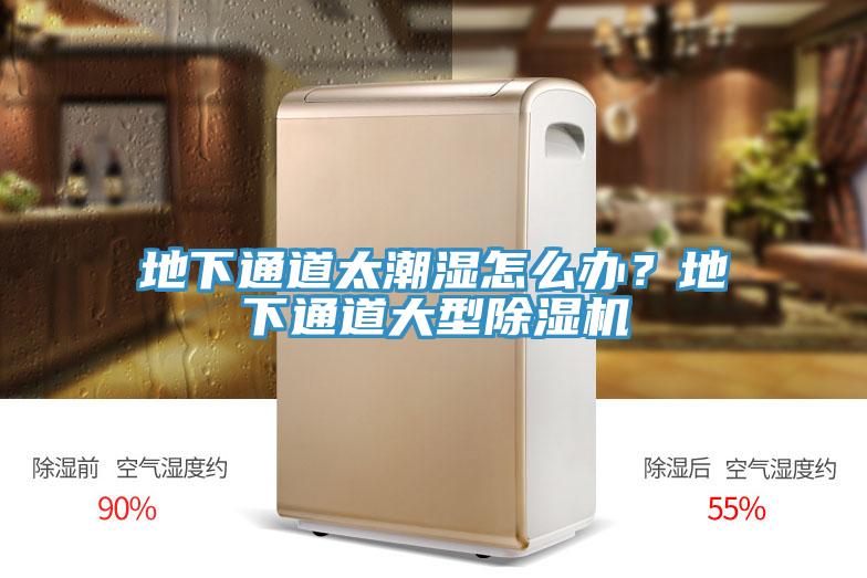 地下通道太潮濕怎么辦？地下通道大型除濕機