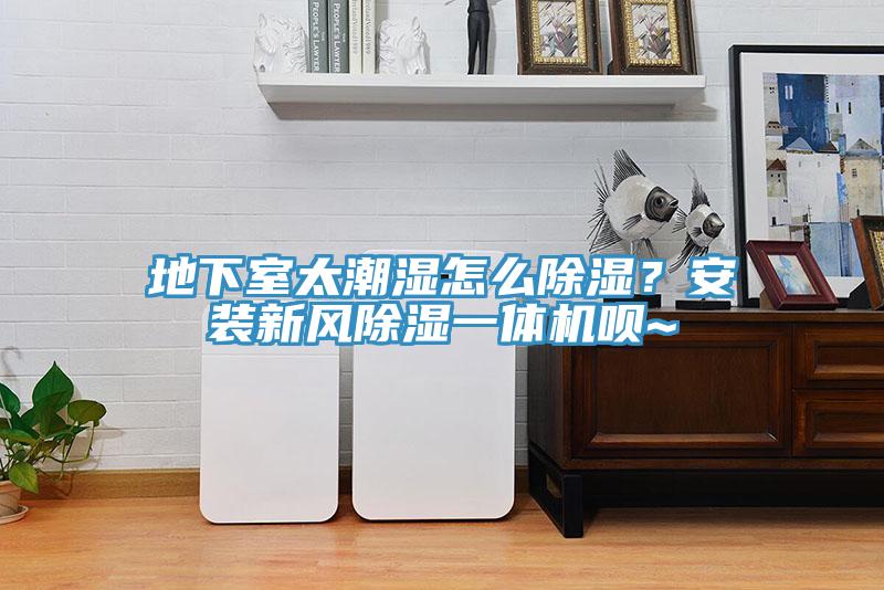 地下室太潮濕怎么除濕？安裝新風(fēng)除濕一體機唄~