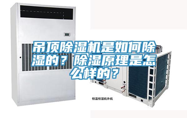 吊頂除濕機是如何除濕的？除濕原理是怎么樣的？