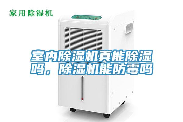 室內(nèi)除濕機(jī)真能除濕嗎，除濕機(jī)能防霉嗎