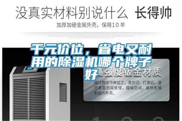 千元價位，省電又耐用的除濕機(jī)哪個牌子好
