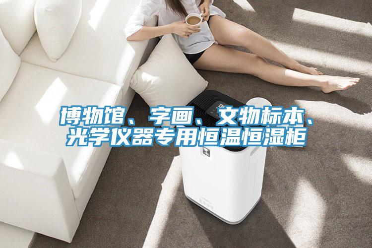 博物館、字畫、文物標(biāo)本、光學(xué)儀器專用恒溫恒濕柜
