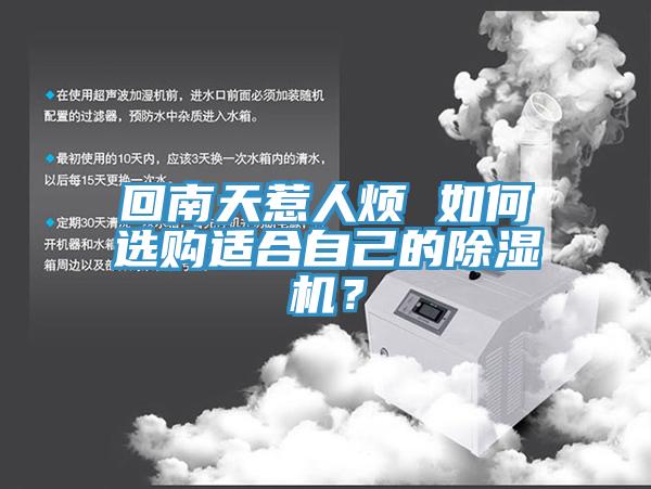 回南天惹人煩 如何選購適合自己的除濕機？