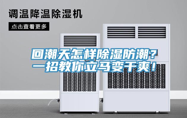 回潮天怎樣除濕防潮？一招教你立馬變干爽！