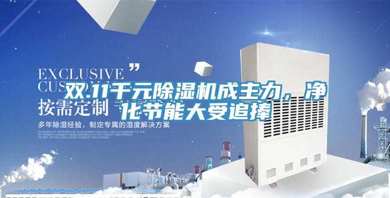 雙.11千元除濕機(jī)成主力，凈化節(jié)能大受追捧