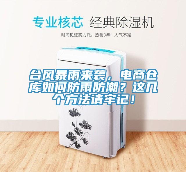 臺風(fēng)暴雨來襲，電商倉庫如何防雨防潮？這幾個方法請牢記！