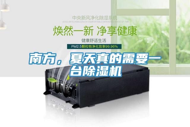 南方，夏天真的需要一臺除濕機