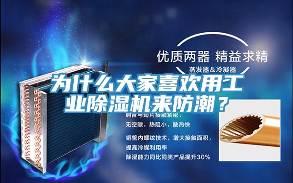為什么大家喜歡用工業(yè)除濕機(jī)來防潮？