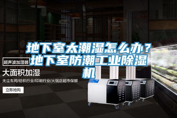 地下室太潮濕怎么辦？地下室防潮工業(yè)除濕機