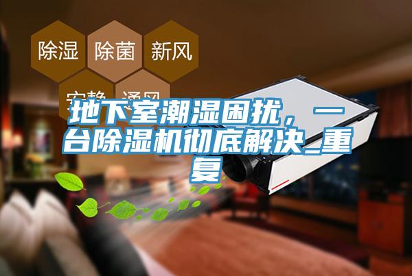 地下室潮濕困擾，一臺除濕機(jī)徹底解決_重復(fù)