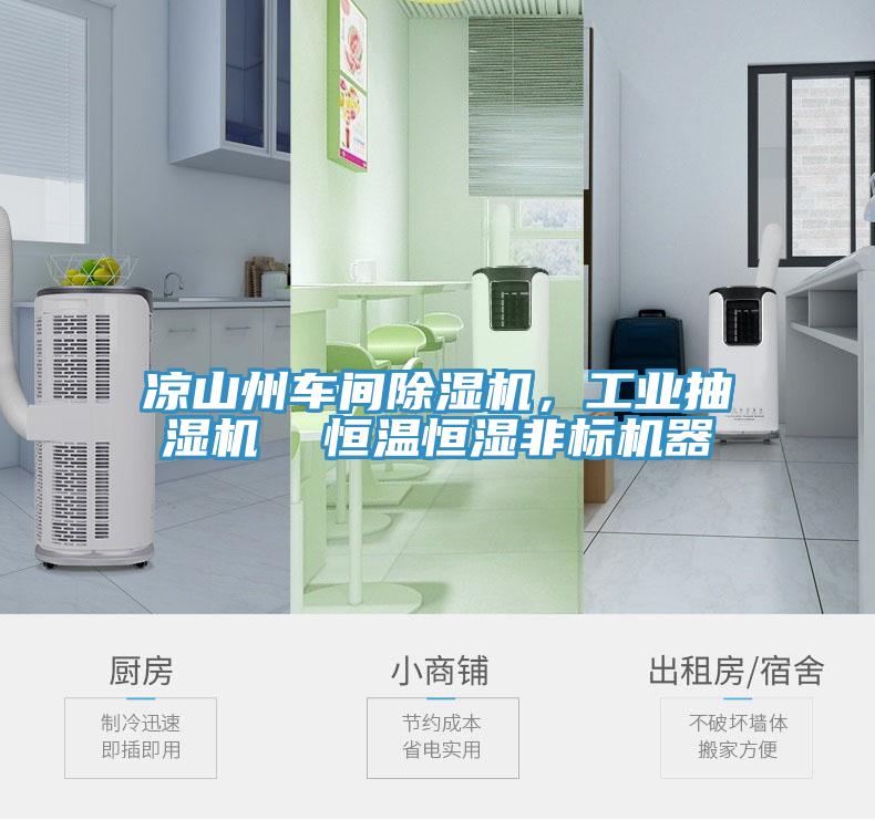 涼山州車間除濕機，工業(yè)抽濕機  恒溫恒濕非標(biāo)機器