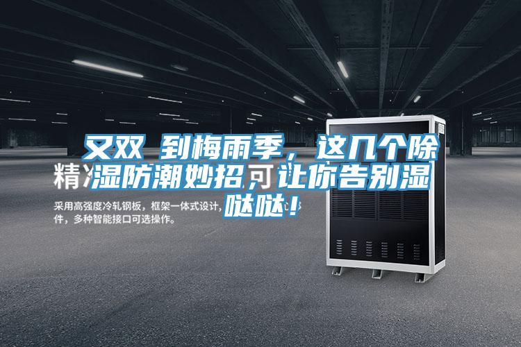 又雙叒到梅雨季，這幾個除濕防潮妙招，讓你告別濕噠噠！