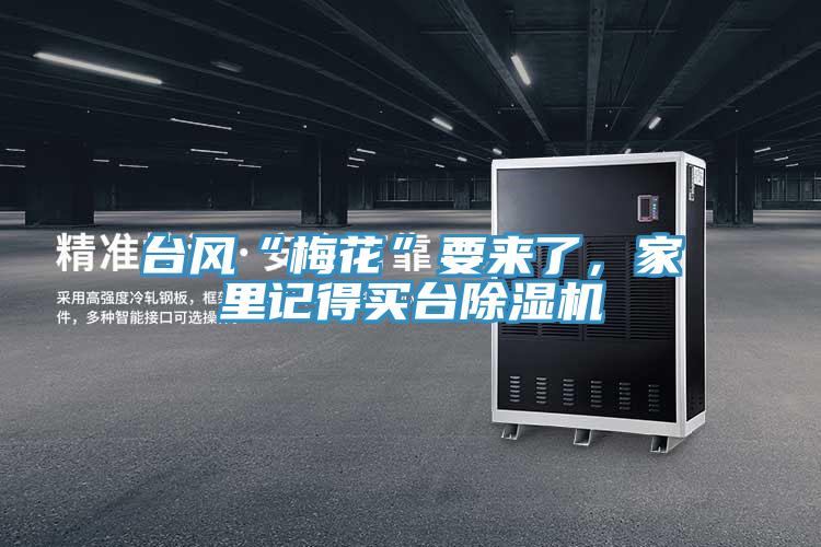 臺(tái)風(fēng)“梅花”要來了，家里記得買臺(tái)除濕機(jī)