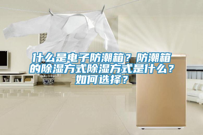 什么是電子防潮箱？防潮箱的除濕方式除濕方式是什么？如何選擇？
