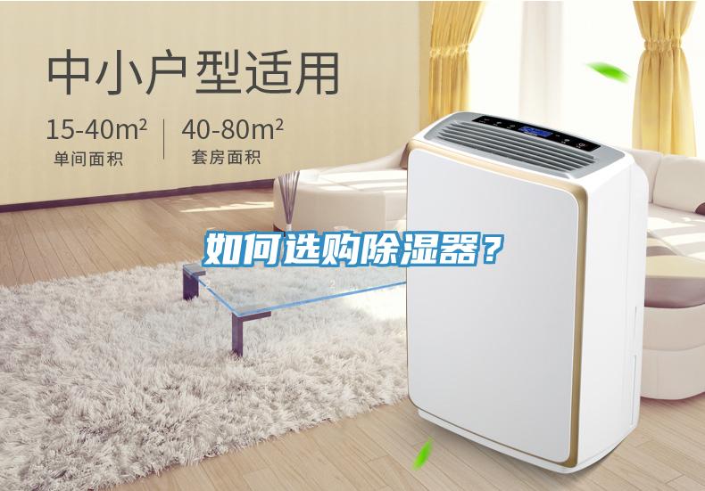 如何選購除濕器？