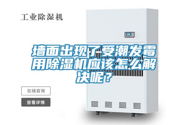墻面出現(xiàn)了受潮發(fā)霉用除濕機應該怎么解決呢？