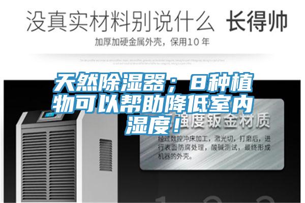天然除濕器；8種植物可以幫助降低室內(nèi)濕度！