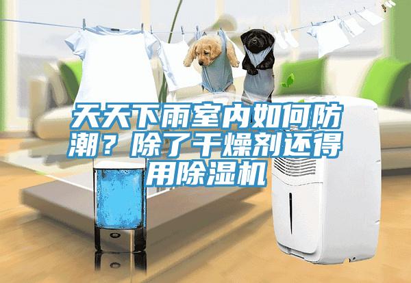 天天下雨室內如何防潮？除了干燥劑還得用除濕機