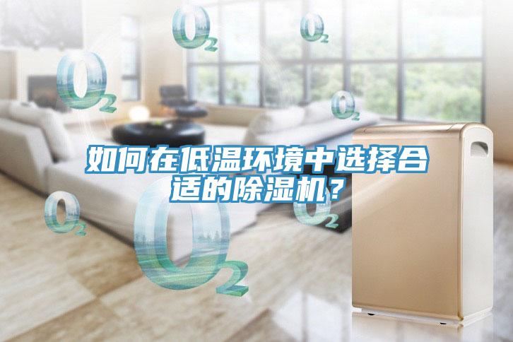 如何在低溫環(huán)境中選擇合適的除濕機？