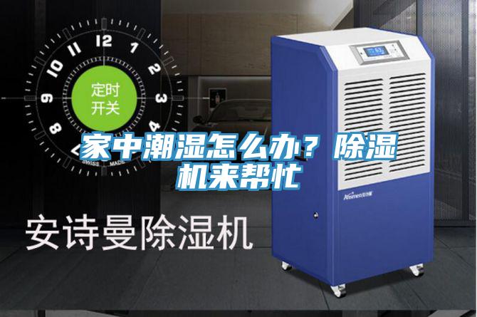 家中潮濕怎么辦？除濕機(jī)來幫忙