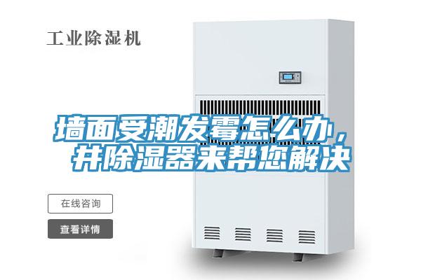 墻面受潮發(fā)霉怎么辦，東井除濕器來幫您解決