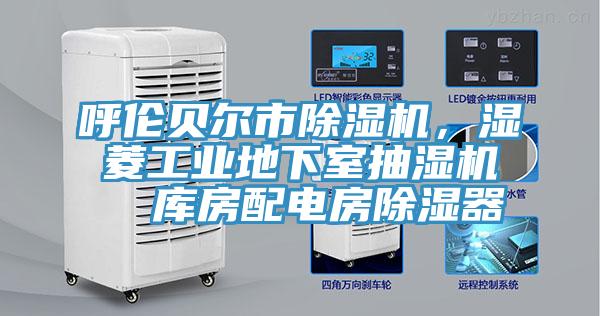呼倫貝爾市除濕機(jī)，濕菱工業(yè)地下室抽濕機(jī)  庫(kù)房配電房除濕器