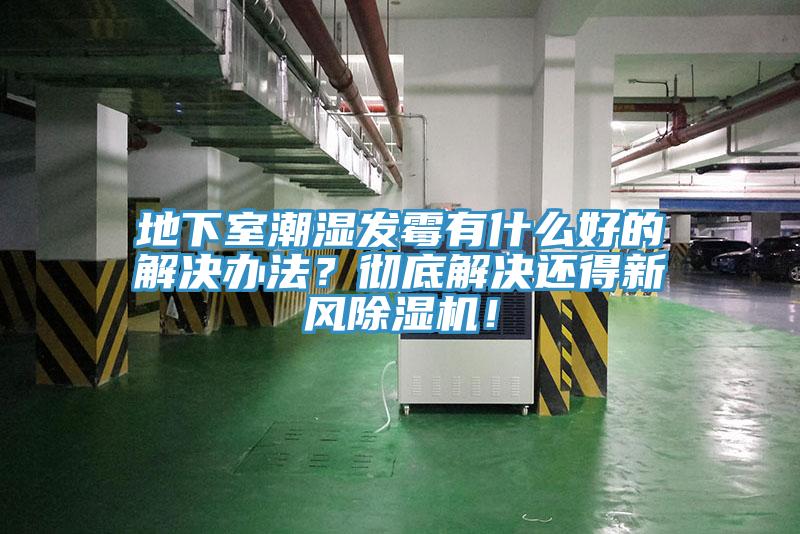 地下室潮濕發(fā)霉有什么好的解決辦法？徹底解決還得新風除濕機！