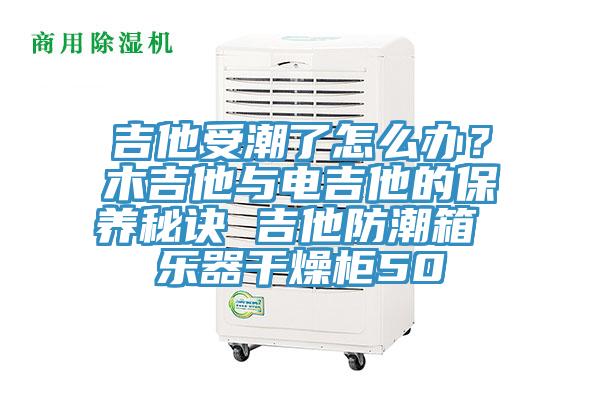 吉他受潮了怎么辦？木吉他與電吉他的保養(yǎng)秘訣 吉他防潮箱 樂(lè)器干燥柜50