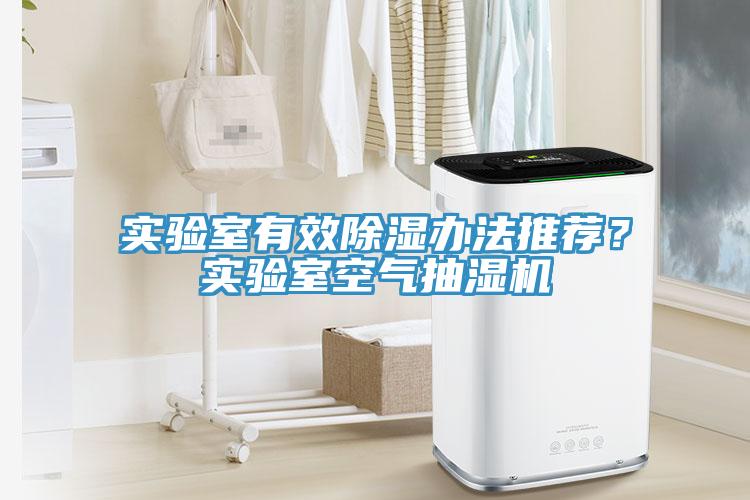 實驗室有效除濕辦法推薦？實驗室空氣抽濕機