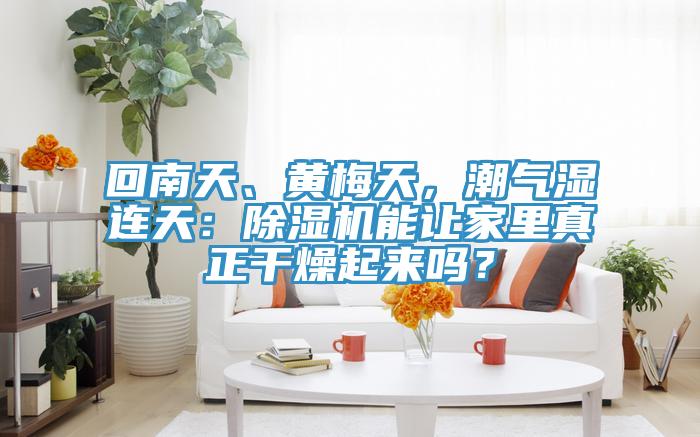 回南天、黃梅天，潮氣濕連天：除濕機(jī)能讓家里真正干燥起來(lái)嗎？
