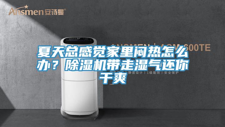 夏天總感覺(jué)家里悶熱怎么辦？除濕機(jī)帶走濕氣還你干爽