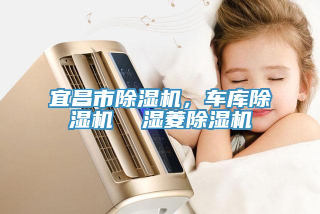 宜昌市除濕機(jī)，車庫除濕機(jī)  濕菱除濕機(jī)