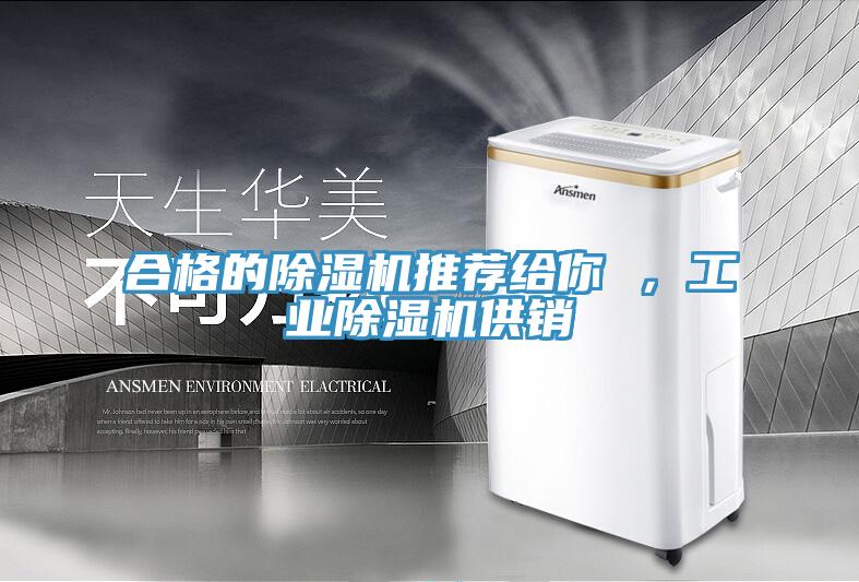 合格的除濕機(jī)推薦給你 ，工業(yè)除濕機(jī)供銷