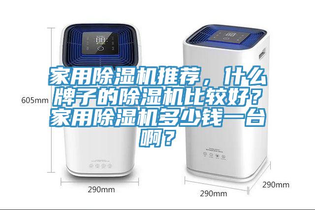 家用除濕機推薦，什么牌子的除濕機比較好？家用除濕機多少錢一臺??？