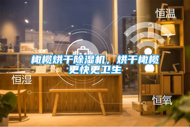 橄欖烘干除濕機，烘干橄欖更快更衛(wèi)生