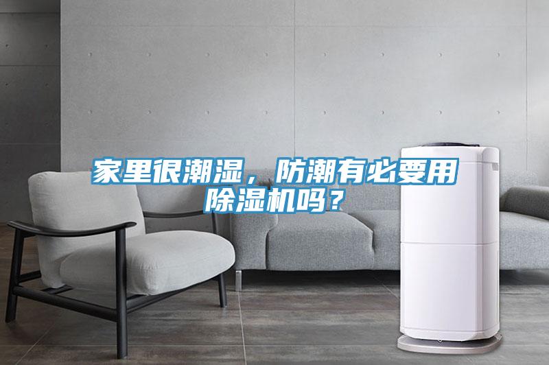家里很潮濕，防潮有必要用除濕機(jī)嗎？