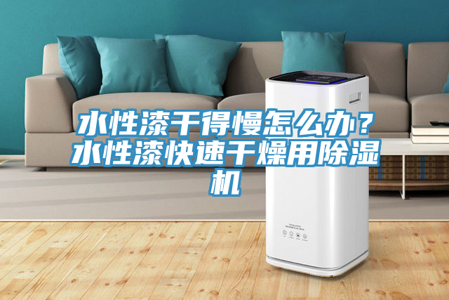 水性漆干得慢怎么辦？水性漆快速干燥用除濕機(jī)