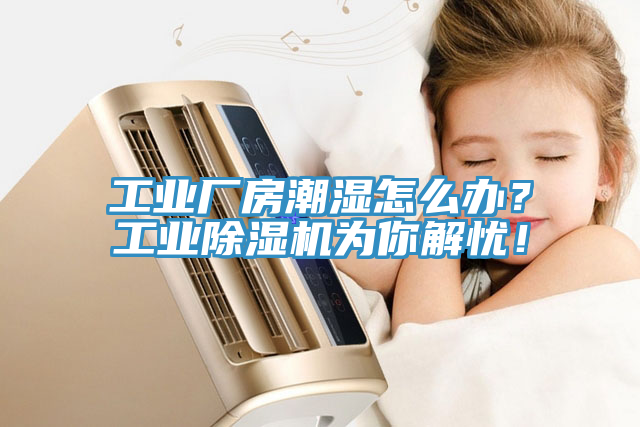 工業(yè)廠房潮濕怎么辦？工業(yè)除濕機(jī)為你解憂(yōu)！