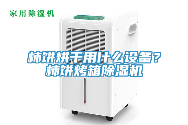 柿餅烘干用什么設(shè)備？柿餅烤箱除濕機(jī)