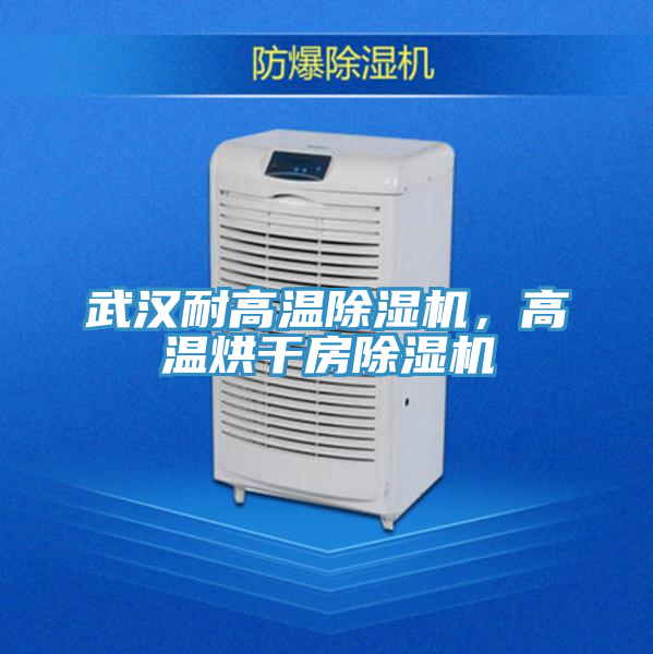 武漢耐高溫除濕機，高溫烘干房除濕機
