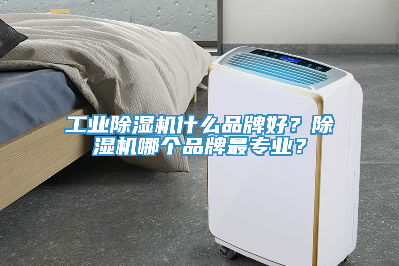 工業(yè)除濕機什么品牌好？除濕機哪個品牌最專業(yè)？