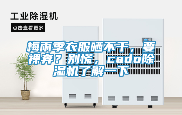 梅雨季衣服曬不干，要裸奔？別慌，cado除濕機(jī)了解一下