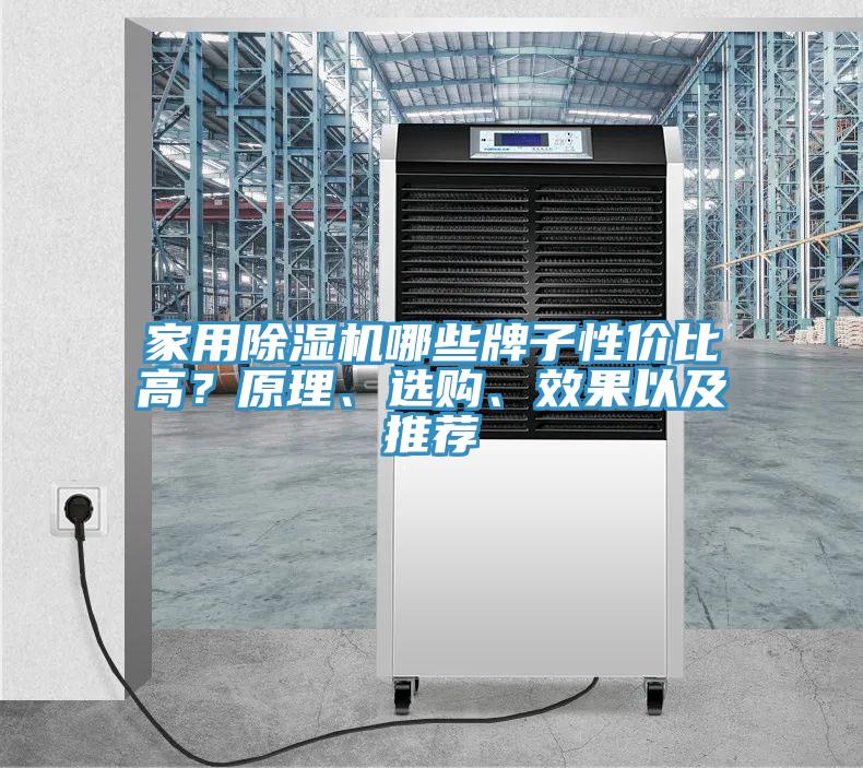 家用除濕機哪些牌子性價比高？原理、選購、效果以及推薦