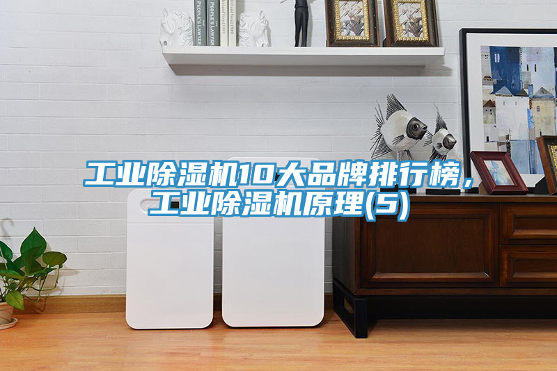 工業(yè)除濕機10大品牌排行榜，工業(yè)除濕機原理(5)