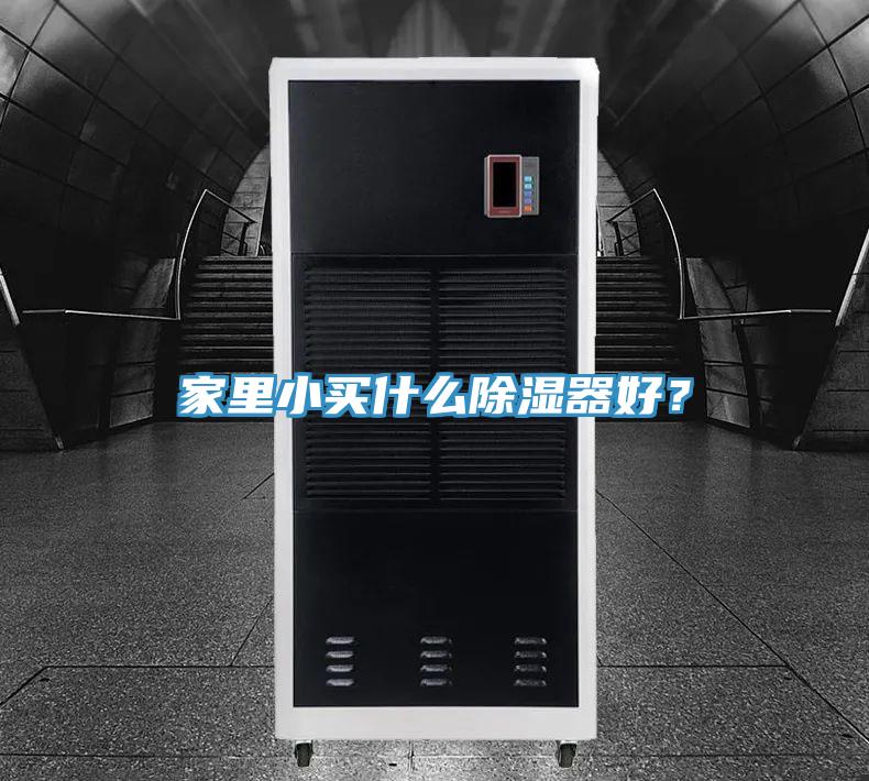 家里小買(mǎi)什么除濕器好？