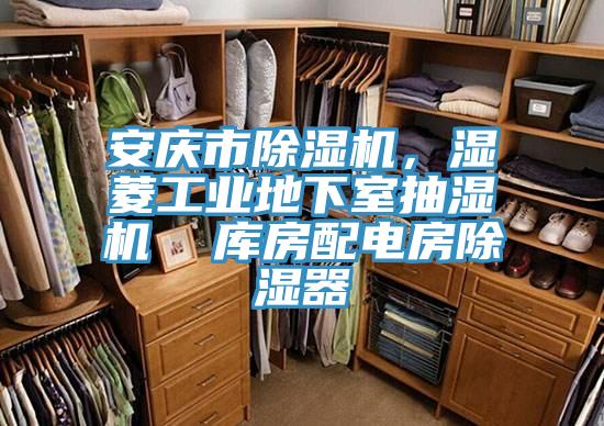 安慶市除濕機(jī)，濕菱工業(yè)地下室抽濕機(jī)  庫房配電房除濕器
