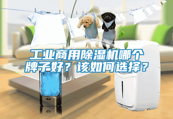 工業(yè)商用除濕機哪個牌子好？該如何選擇？