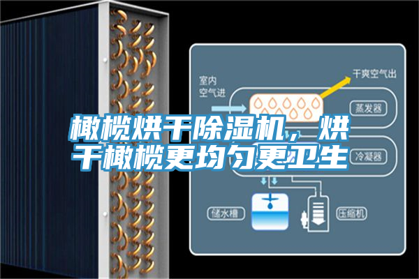 橄欖烘干除濕機，烘干橄欖更均勻更衛(wèi)生