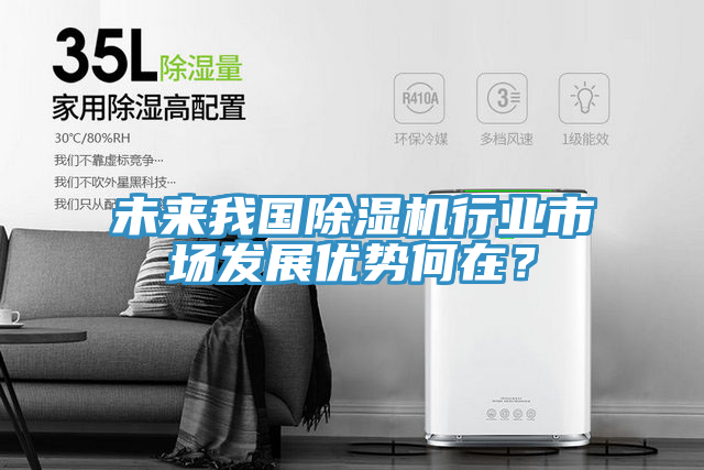 未來(lái)我國(guó)除濕機(jī)行業(yè)市場(chǎng)發(fā)展優(yōu)勢(shì)何在？